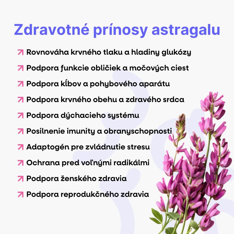 (Slovenčina) (6)_1